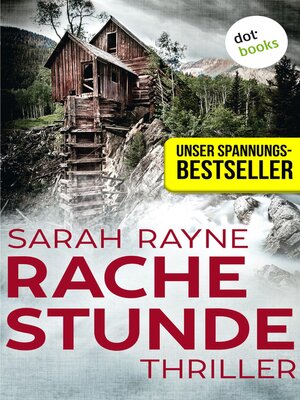 cover image of Rachestunde